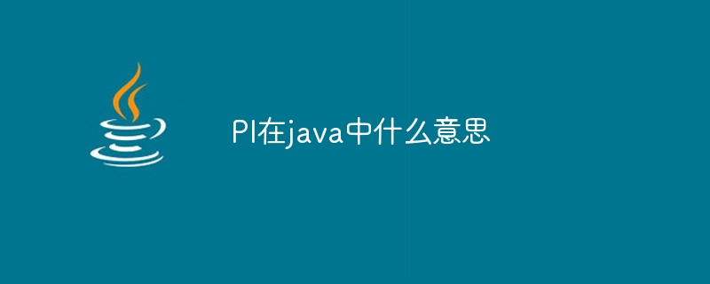 PI在java中什么意思