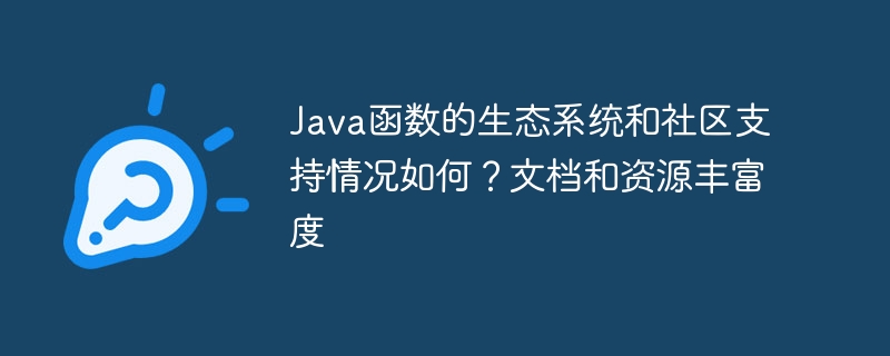 Java函数的生态系统和社区支持情况如何？文档和资源丰富度