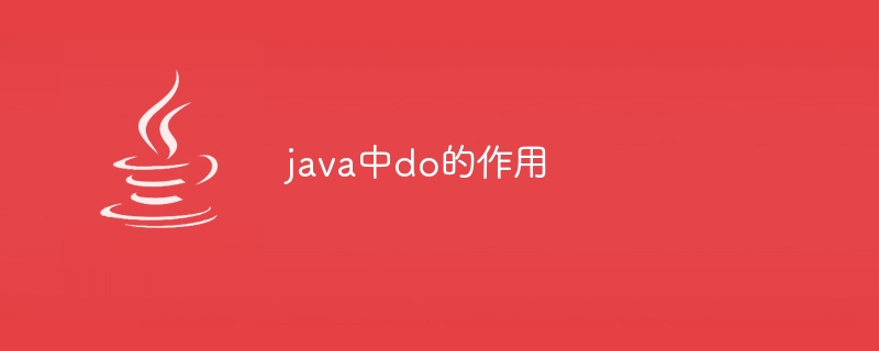 java中do的作用