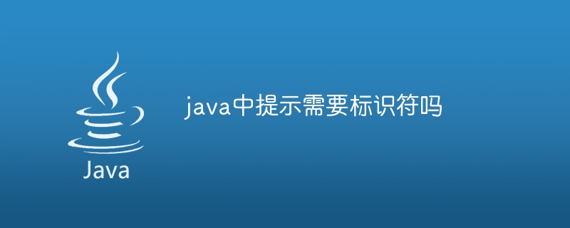 java中提示需要标识符吗