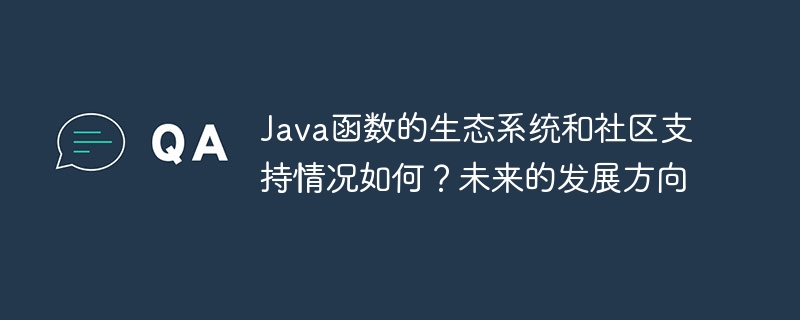 Java函数的生态系统和社区支持情况如何？未来的发展方向