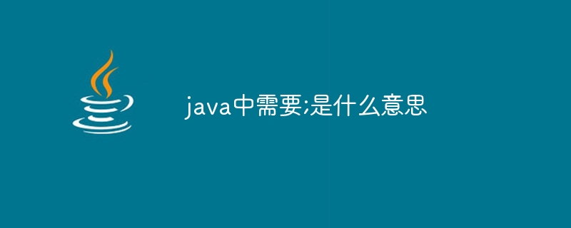 java中需要;是什么意思