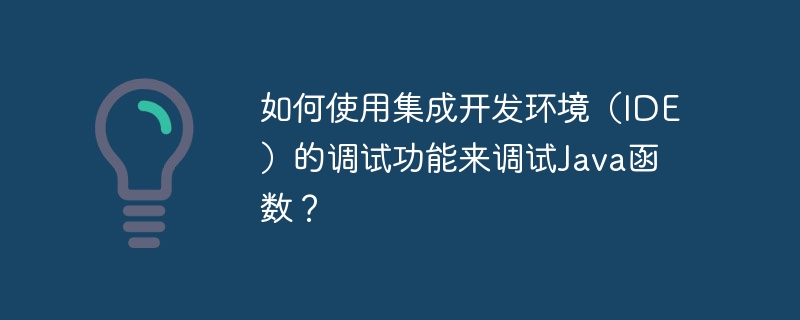 如何使用集成开发环境（IDE）的调试功能来调试Java函数？