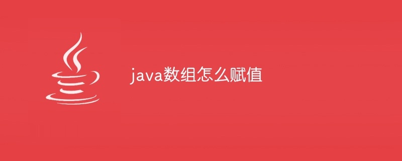 java数组怎么赋值