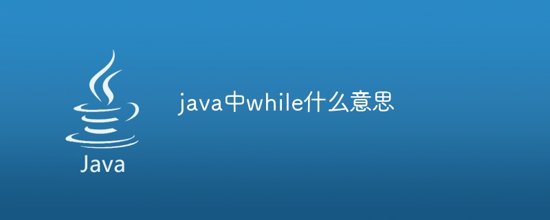 java中while什么意思