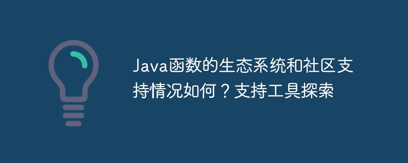 Java函数的生态系统和社区支持情况如何？支持工具探索