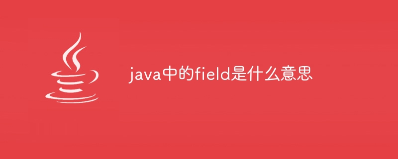 java中的field是什么意思