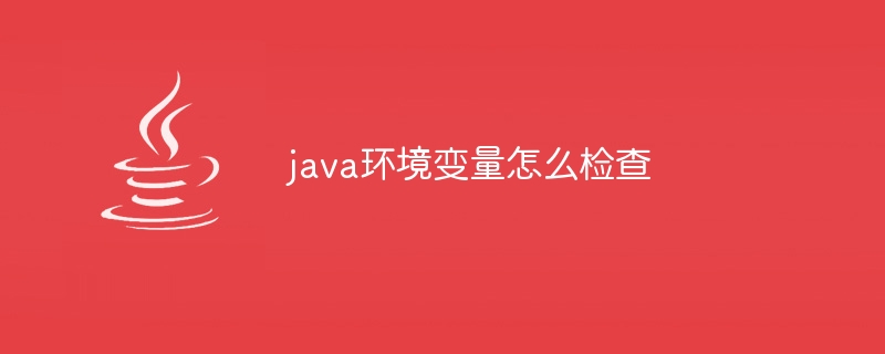 java环境变量怎么检查