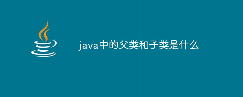 java中的父类和子类是什么