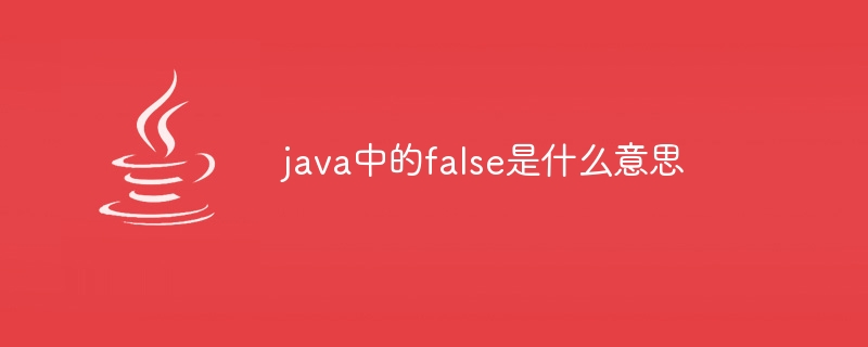 java中的false是什么意思