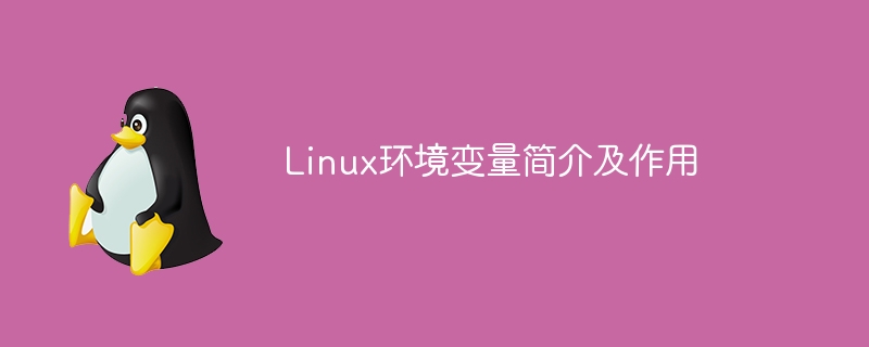 linux环境变量简介及作用