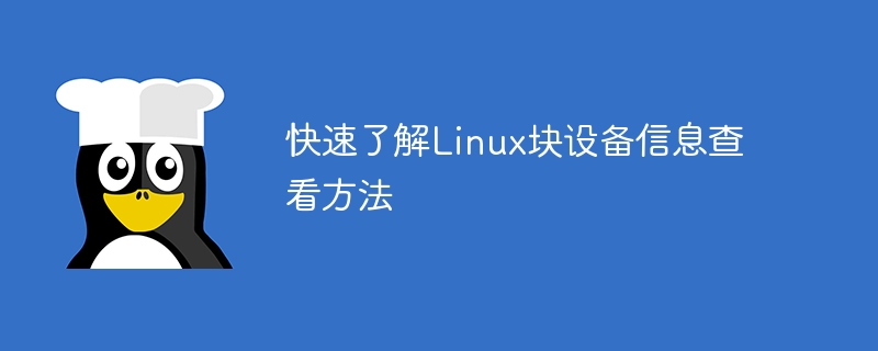 Linux块设备信息查看方法简明指南