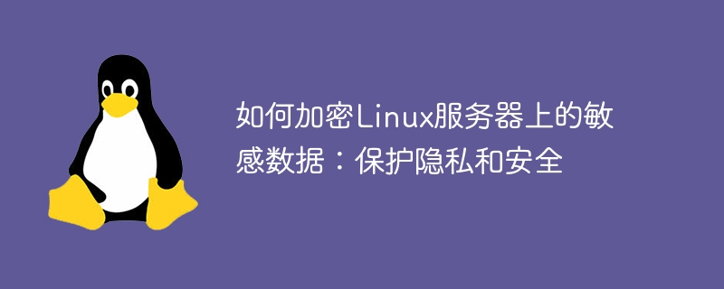 如何加密Linux服务器上的敏感数据：保护隐私和安全