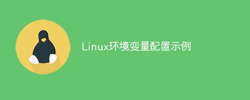 linux环境变量配置示例