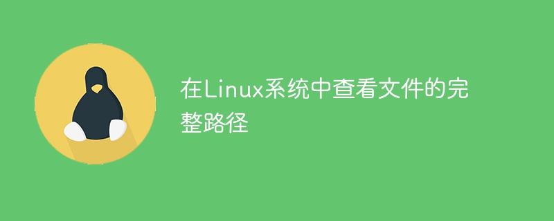 在linux系统中查看文件的完整路径