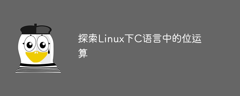 探索Linux下C语言中的位运算