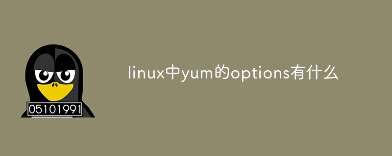 linux中yum的options有什么