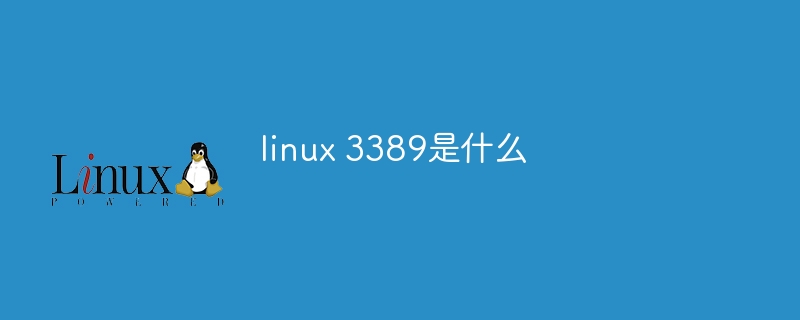 linux 3389是什么