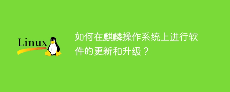 如何在麒麟操作系统上进行软件的更新和升级？