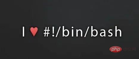 Bash 中的 ${} 和 $() 有什么区别