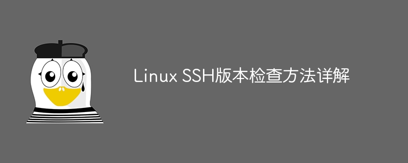 linux ssh版本检查方法详解