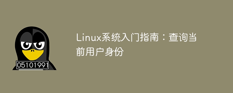 linux系统入门指南：查询当前用户身份