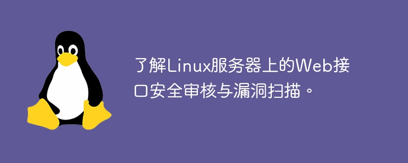 了解Linux服务器上的Web接口安全审核与漏洞扫描。