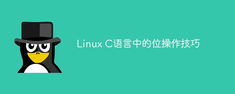 linux c语言中的位操作技巧