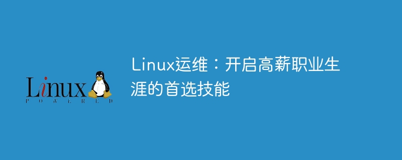 Linux运维：开启高薪职业生涯的首选技能