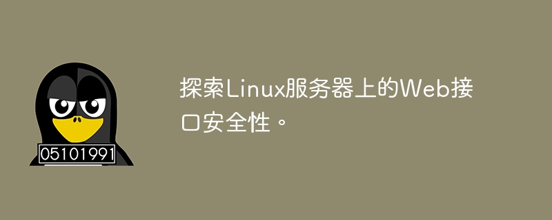 探索linux服务器上的web接口安全性。