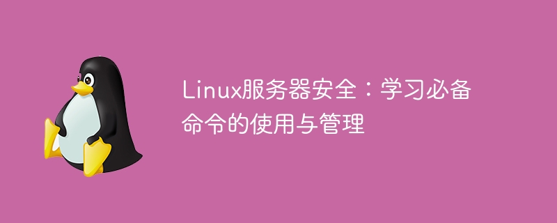 linux服务器安全：学习必备命令的使用与管理