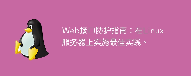 Web接口防护指南：在Linux服务器上实施最佳实践。