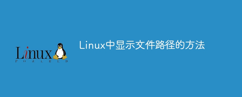 linux中显示文件路径的方法