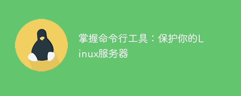 掌握命令行工具：保护你的linux服务器