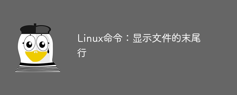 Linux命令：查看文件的最后一行