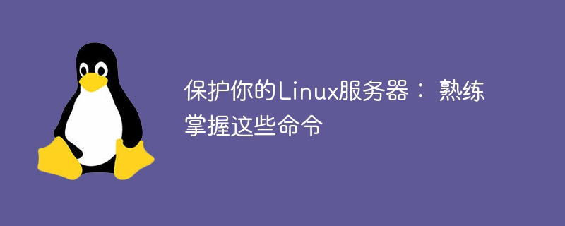 保护你的linux服务器： 熟练掌握这些命令