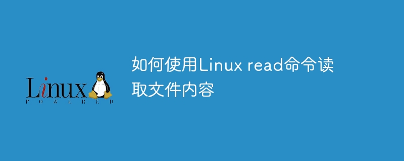 如何使用linux read命令读取文件内容