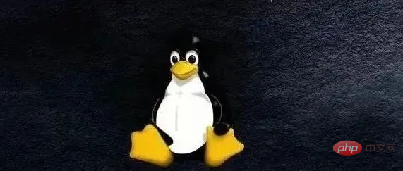 Linux性能优化知识点总结大全 · 实践+收藏版