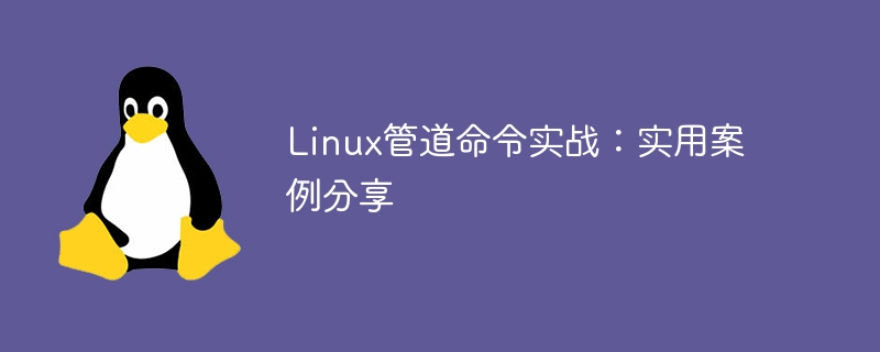 linux管道命令实战：实用案例分享