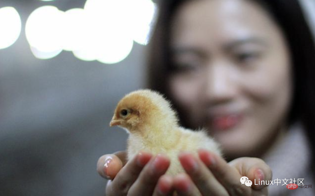 面试官常考的 21 条 Linux 命令