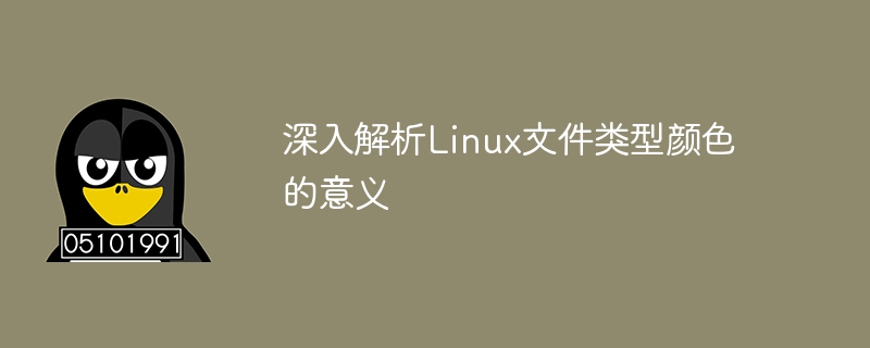 深入解析linux文件类型颜色的意义