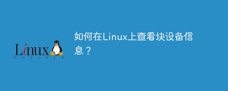 如何在linux上查看块设备信息？