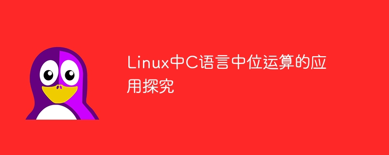 Linux中C语言中位运算的应用探究