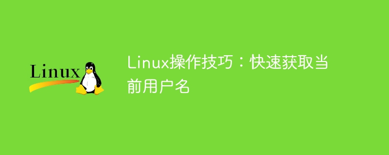 Linux操作技巧：如何快速查找当前用户