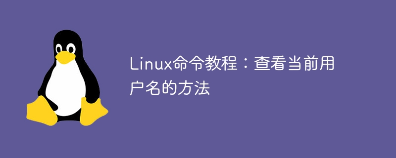 linux命令教程：查看当前用户名的方法