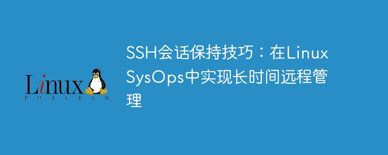 SSH会话保持技巧：在Linux SysOps中实现长时间远程管理