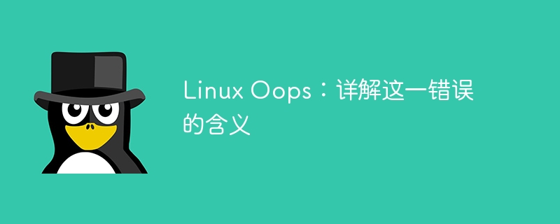 Linux Oops：详解这一错误的含义