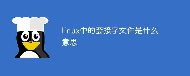 linux中的套接字文件是什么意思