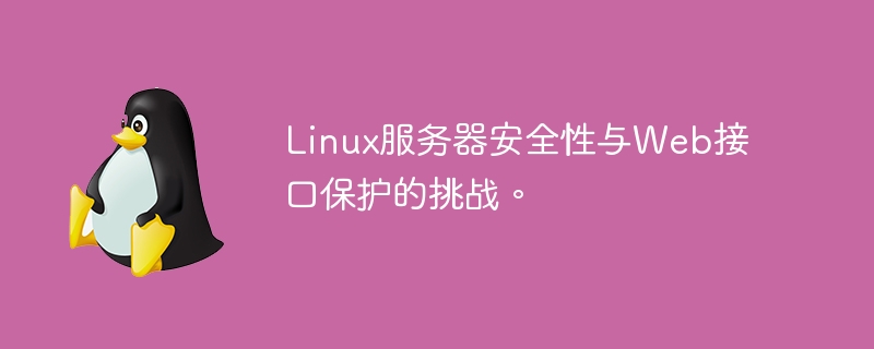 Linux服务器安全性与Web接口保护的挑战。