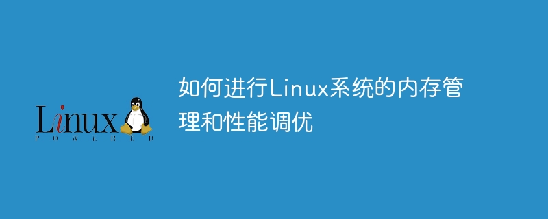 如何进行Linux系统的内存管理和性能调优